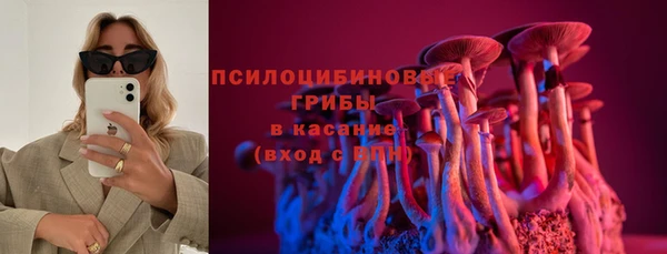 герыч Козловка