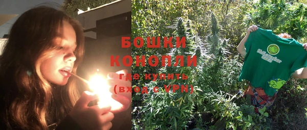 МДПВ Козельск