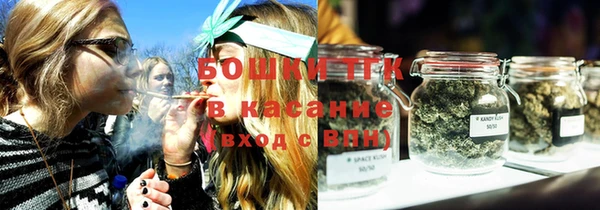 сатива Кодинск