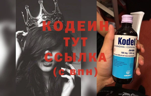 сатива Кодинск