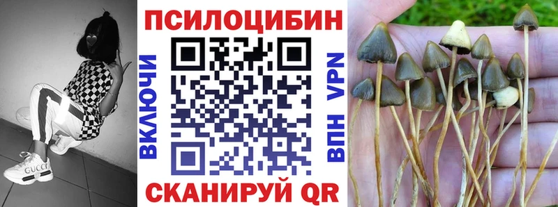Купить закладки  Бирюсинск  Псилоцибиновые грибы Magic Shrooms 